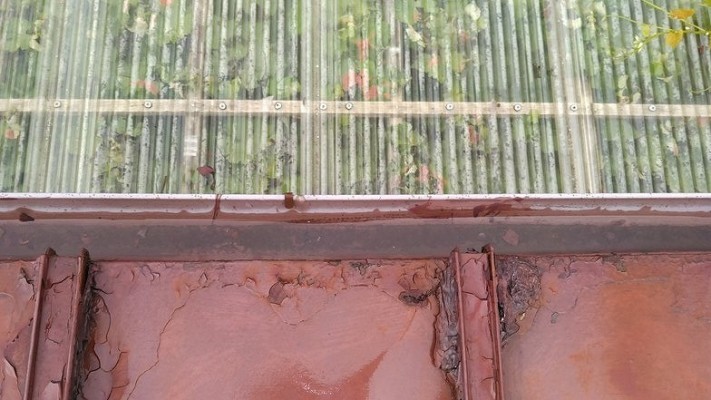 雨樋の中の雨水