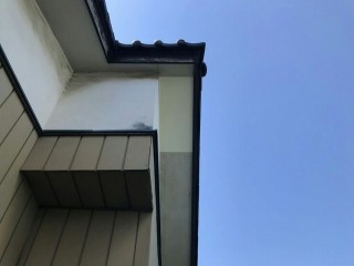 軒天井完成後