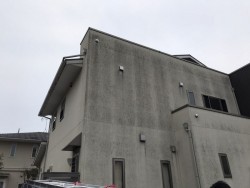 北側外壁黒ずみ