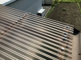 波板にビスで固定後