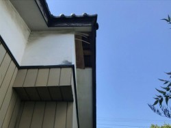 剝がれた軒天井施工前