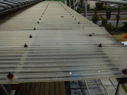 交換する前の2階のテラス屋根の波板