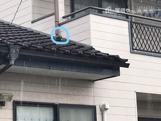 台風により雨樋のエルボから先が取れてしまっているところ