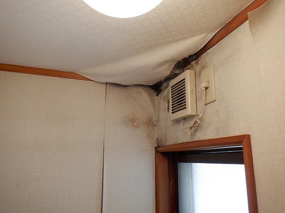 高崎市で雨が降ると天井からポタポタ音がして壁が濡れているお宅 高崎 安中市で屋根の点検 補修 リフォームなら街の屋根やさん高崎店