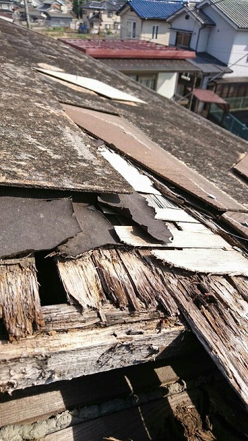 コロニアルの屋根の瓦がずれてルーフィングが破れて野地板に穴が開いた状態