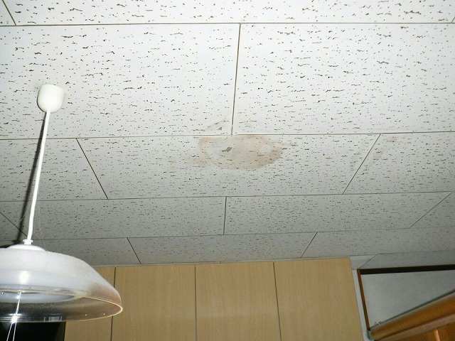 キッチン天井の雨漏りのシミ