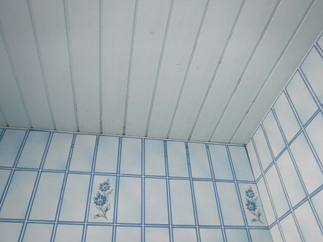 浴室の天井