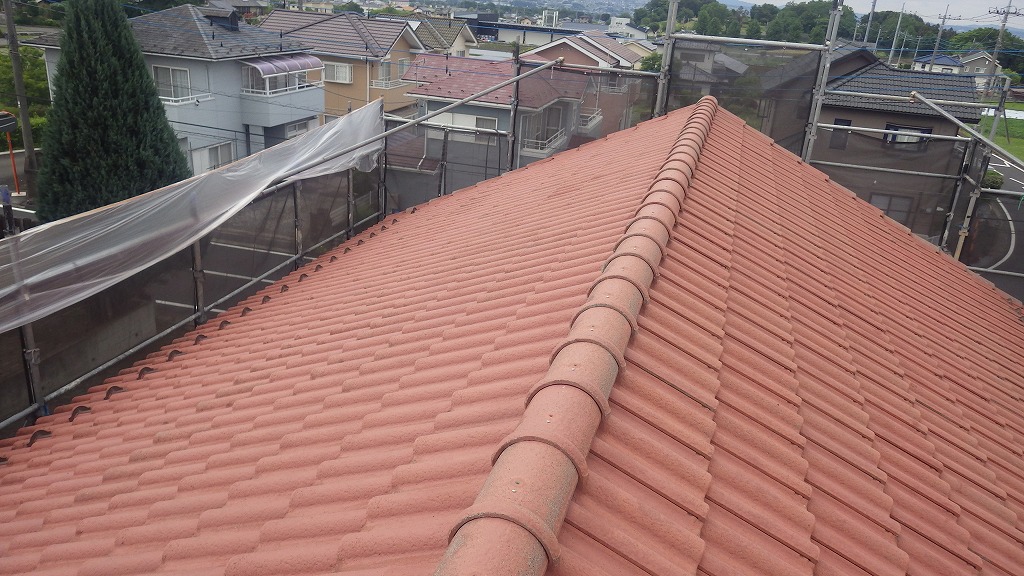 棟を含む屋根全体