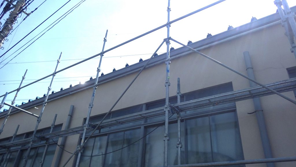 軒樋全体の劣化確認