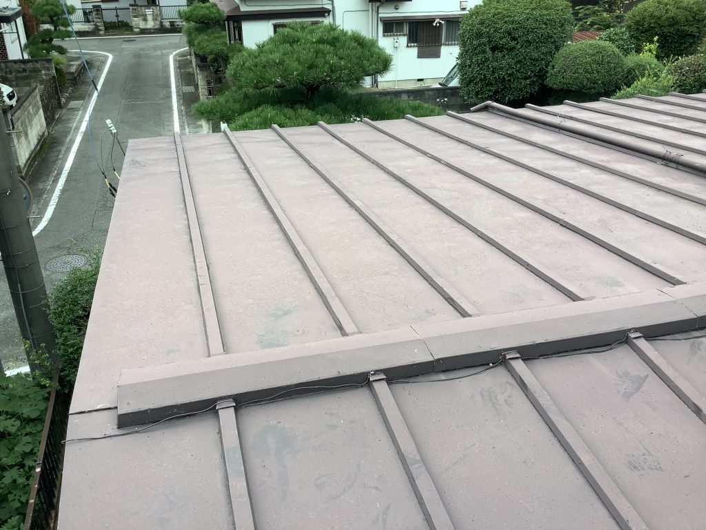 屋根全体の調査状況