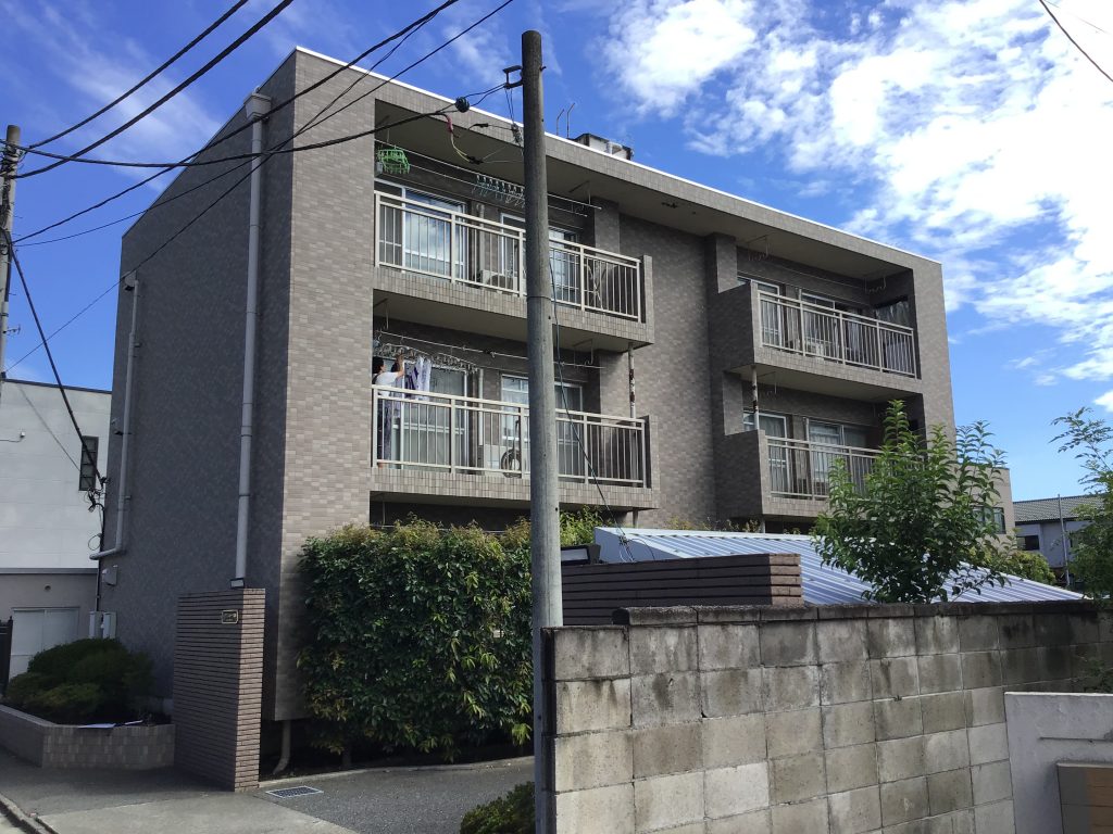 高崎市請地町で陸屋根防水を調査、屋上の水たまりや雑草発生、笠木まわりの劣化と軒天の剥がれを確認
