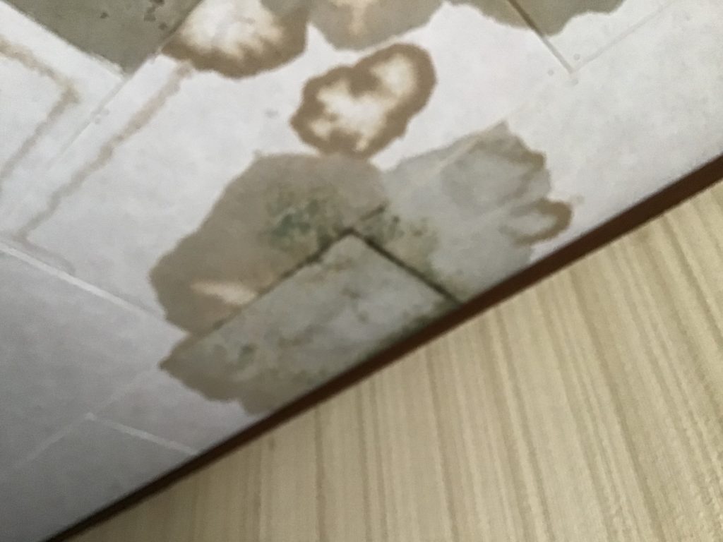 廊下天井の濃い雨染み