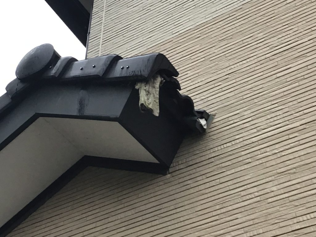 屋根端の鳥の巣