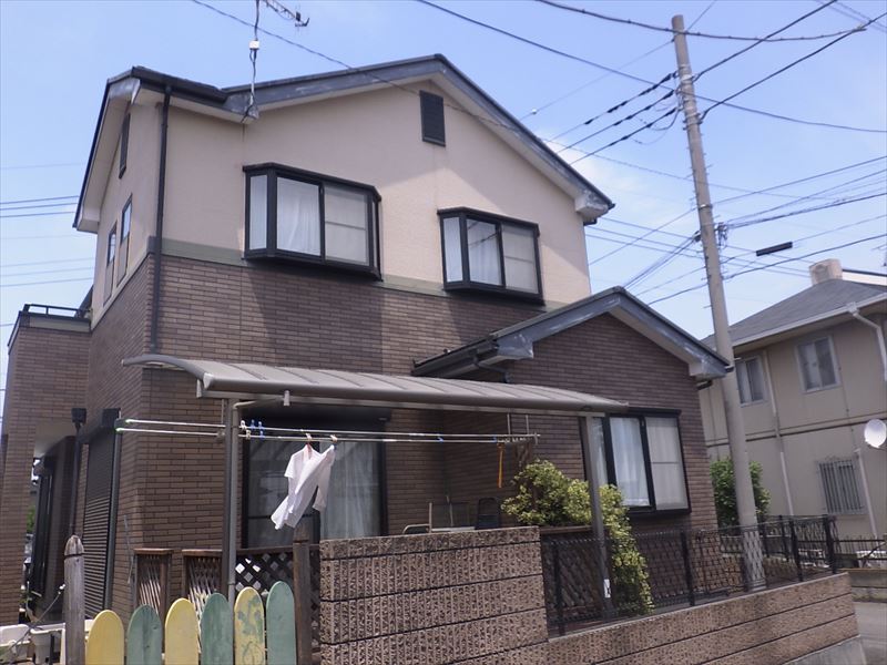 建物裏手の全景