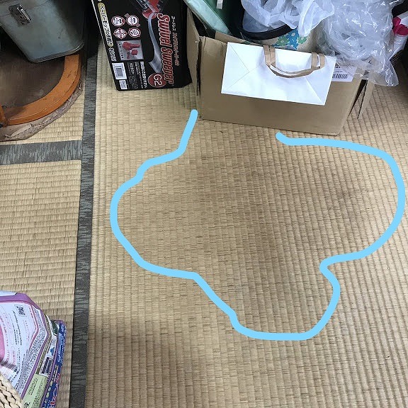 和室の畳の雨漏りのシミ