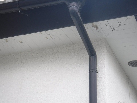 軒天井の塗装の膜が剥がれている