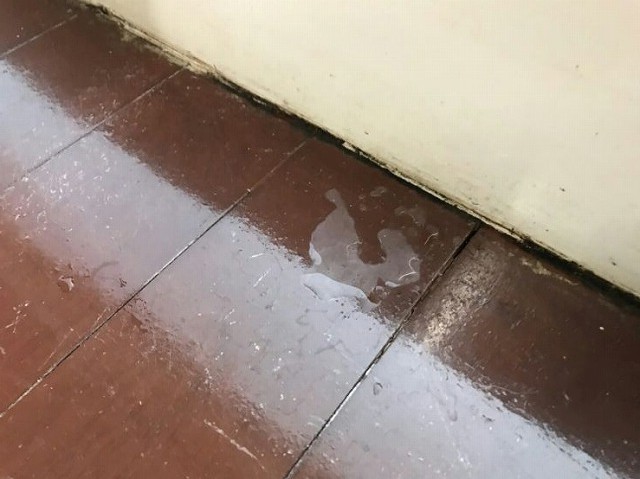床の上の雨漏りの水溜まり