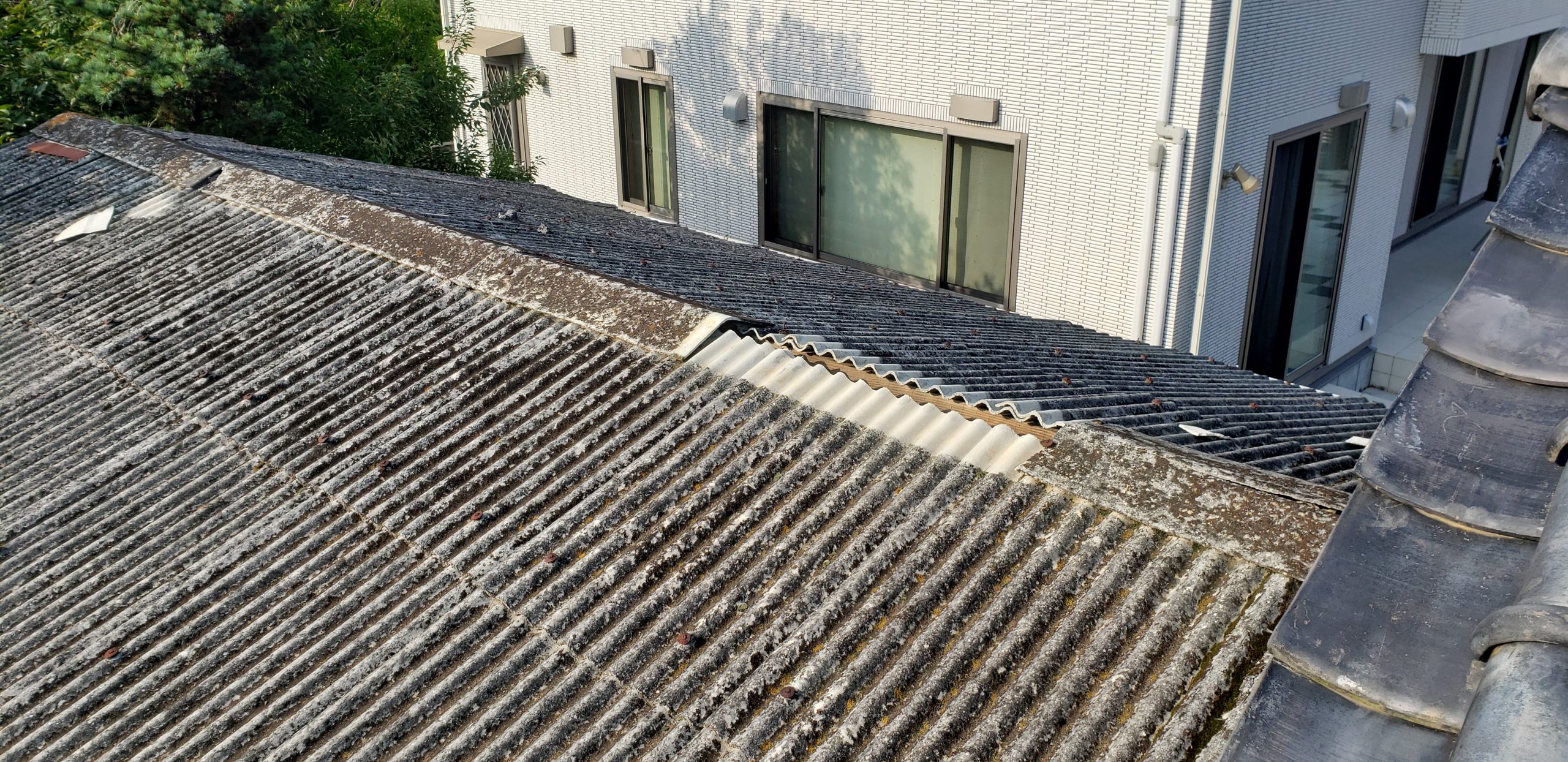 棟飛散