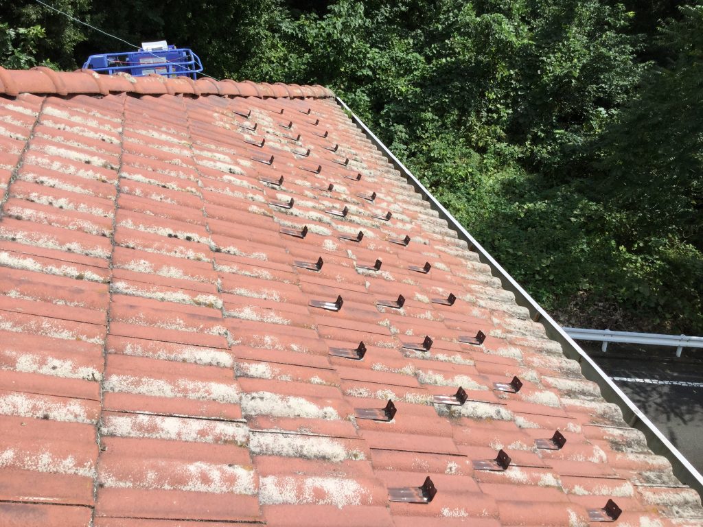白い付着物のある瓦屋根