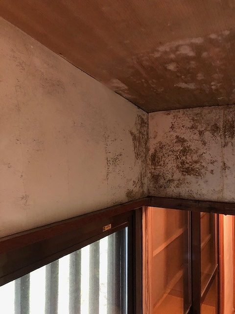 高崎市で雨漏りでカビが生えた壁や天井と表面剝がれたベニヤ軒裏