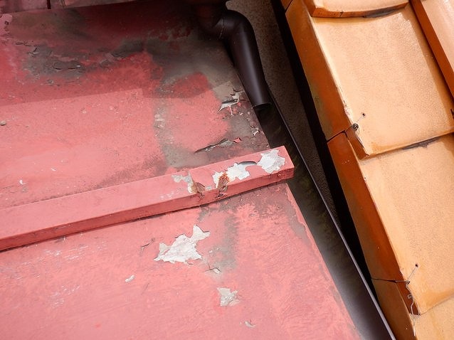 軒樋への落とし込みと板金屋根の塗装の傷み
